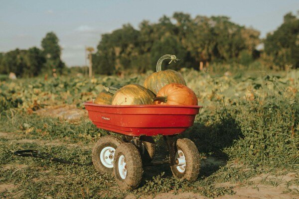Soberania alimentaria